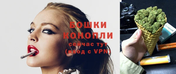 шишки Майский
