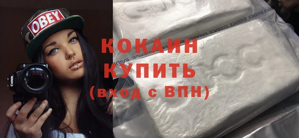 шишки Майский