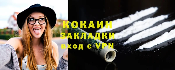 шишки Майский