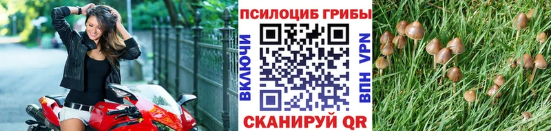 Галлюциногенные грибы мицелий  Саранск 